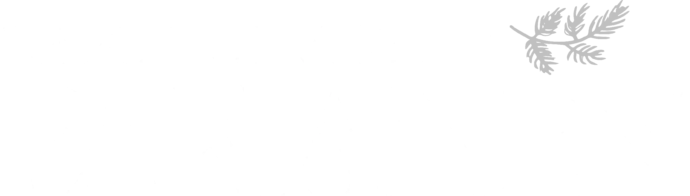 Lakitoimisto Pakanen logo with two stylized leaves on black background.